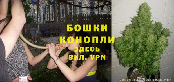 прущие крисы Саяногорск