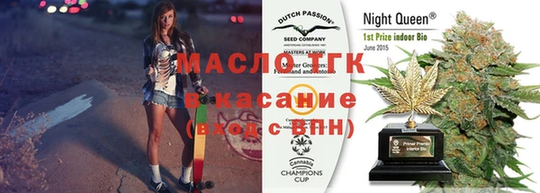 сатива Покачи